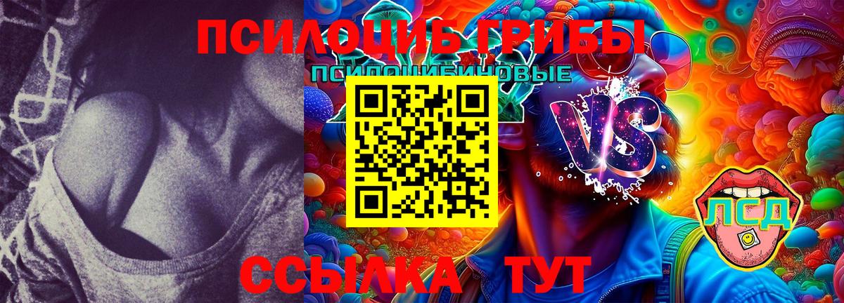Шали  Псилоцибиновые грибы MAGIC MUSHROOMS  Вход с VPN  Псилоцибиновые грибы GOLDEN TEACHER 